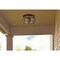 Westinghouse Fixture Ceiling Outdoor Flush-Mount 60W 2-Light Weatherby 14In Brnwd Clear Glass 6112600 - alternate 6